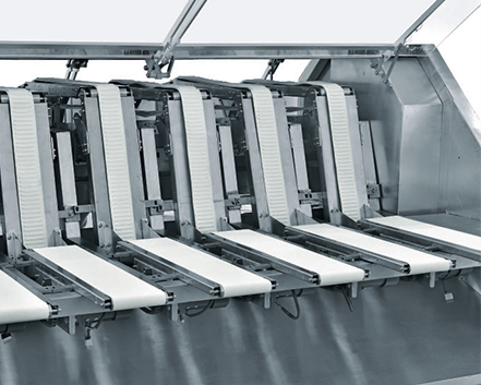 食品包裝設(shè)備